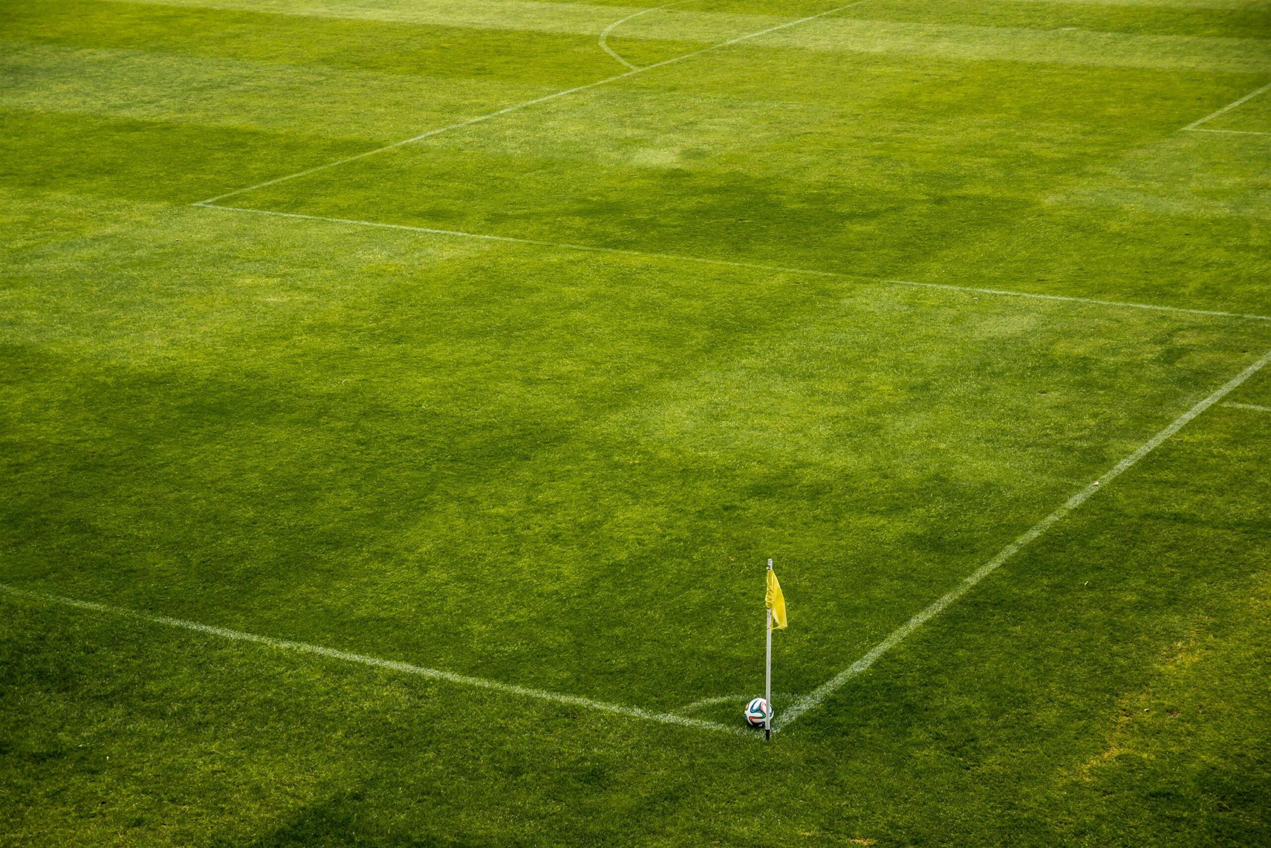 The New Economics of Sports: How Data, Media, and Markets Are Redefining the Game